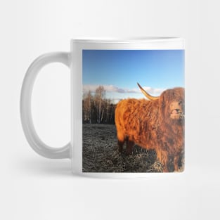 Scottish Highland Cattle Cow 2334 Mug